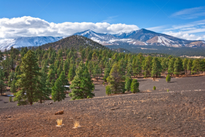 圣佛兰西斯科群峰,火山口,里努克斯,科科尼诺县,飘然,雪山,火山岩,雪,著名景点,自然美