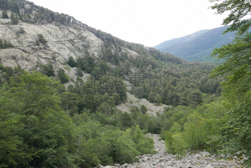 法国,科西嘉,地形,自然美,山,南,山口,海港,船,河流