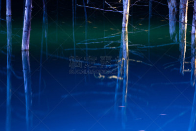 湖,美瑛町,室内过夜,贺卡,照明设备,雪,水面,池塘,烙心蓝池,背景