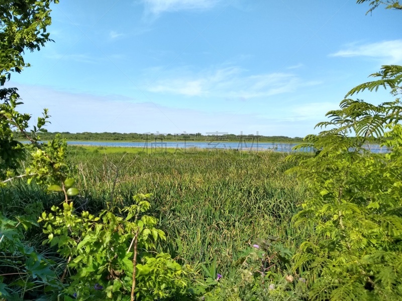 Reserva Ecológica Costanera Sur, is a 865-acre tract of low land on the Río de la Plata riverbank located on the east side of the district of Puerto Madero in Buenos Aires CBD, Argentina.