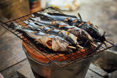 鱼类,炊具,格子烤肉,热,清新,食品,泰国,烤肉架,成分,餐具