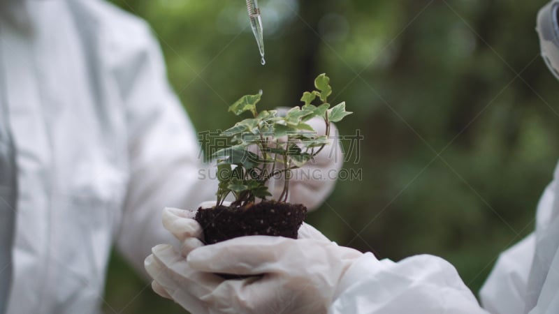 生态学家,水,植物,细菌学者,保护服,生物化学家,生物学家,肥料,吸液管,微生物学