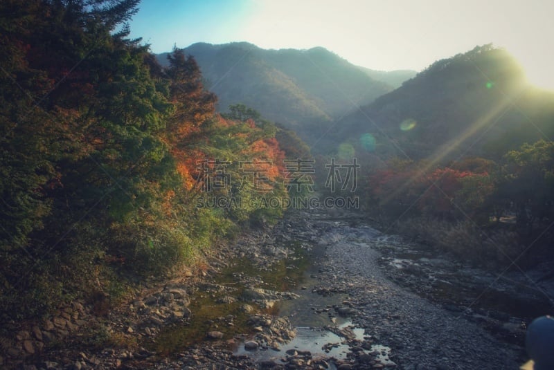 背景,黄色,红色,叶子,十月,环境,著名景点,韩国,朝鲜半岛