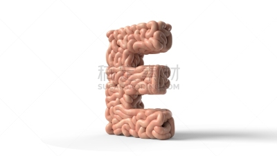human brain in shape of letter E. 3D illustration