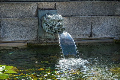 特写,喷泉,寺庙,建筑,石材,龙,户外,静水