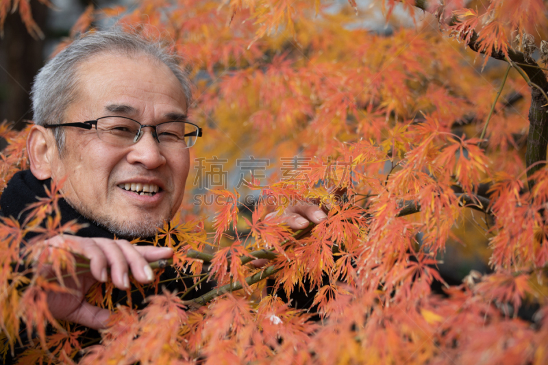 秋天,老年男人,享乐