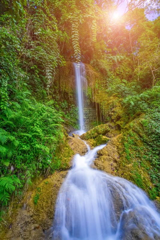 瀑布,垂直画幅,水,美,湿,热带雨林,旅行者,夏天,户外,干净