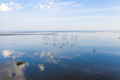 水,汽车视镜,浅的,芬兰海湾,深的,云景,环境,云,水面,鸟类