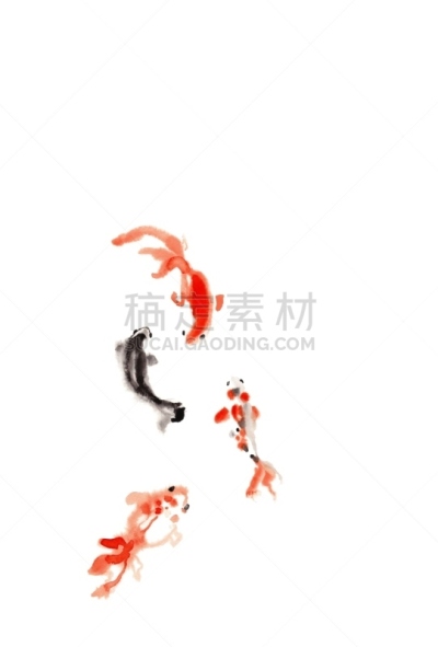 金鱼,水彩画颜料,斑纹,橙色,动物,鲤鱼,锦鲤,动物鳍,模拟设备,夏天