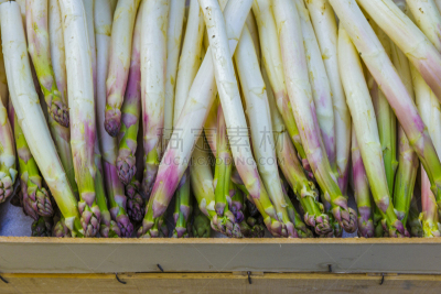 普罗旺斯,传统,蔬菜,商务,清新,法国,食品,食品杂货,芦笋,复古风格