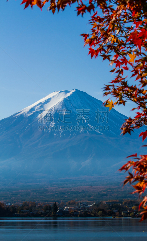 富士山,秋天,山,著名景点,枫叶,湖,枫树,户外,天空,富士河口湖