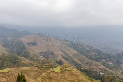 龙胜,梯田,中国,稻,瑶族,龙脊梯田,桂林,水稻梯田,留白,新的