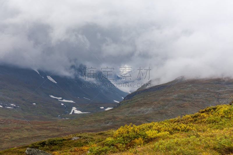 瑞典,瑞属拉普兰,萨雷克国家公园,泊北,挪威,风景,选择对焦,秋天,芬兰,靠近