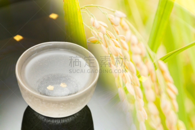 日本青酒,日本,图像,清酒杯,酒屋,金叶,花见节,喝醉的,餐具,留白