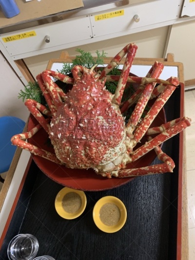 阿拉斯加雪蟹,红色,海产,清新,垂直画幅,膳食,食品,图像,无人,蟹笼