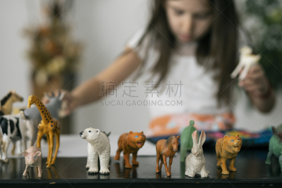 塑胶,动物玩具,动物园,斑马,2020,仅一个女孩,玩具,已灭绝生物,哺乳纲,仅儿童