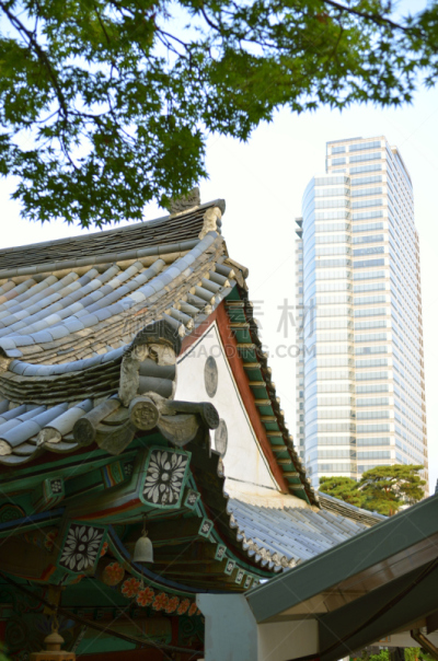 首尔,朝鲜半岛,寺庙,居住区,江南区,垂直画幅,式样,建筑,无人,城市天际线