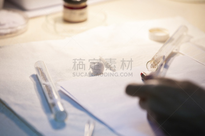 植物,实验室,农业,蔬菜,显微镜,健康保健,化学,科技,癌症,科学实验