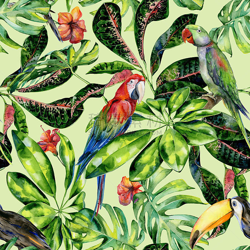 鸟类,四方连续纹样,叶子,水彩画,鸡尾酒,水彩画颜料,多样,热带气候,环境,野生动物
