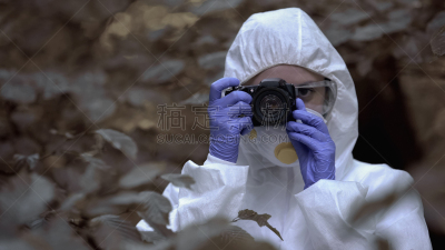 危险,植物群,损坏的,居住区,研究人员,气候,科学实验,生物学家,户外,装管