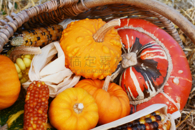 葫芦,土耳其式帽子瓜,甜玉米,狂欢节,收获节,蔬菜,篮子,万圣节,橙色,英国