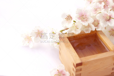 日本青酒,樱花,自然,含酒精饮料,白色背景,粉色,鲜花盛开,枡,图像,鳟鱼