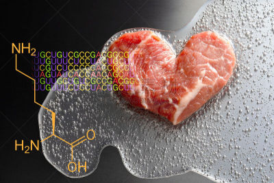 心型,人造的,氨基酸,肉,牛肉,背景聚焦,公式,信使核糖核酸,编码,肥皂泡