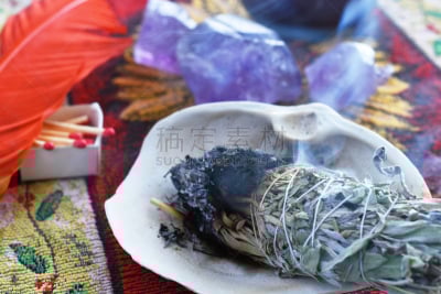 熏香,马樱丹属