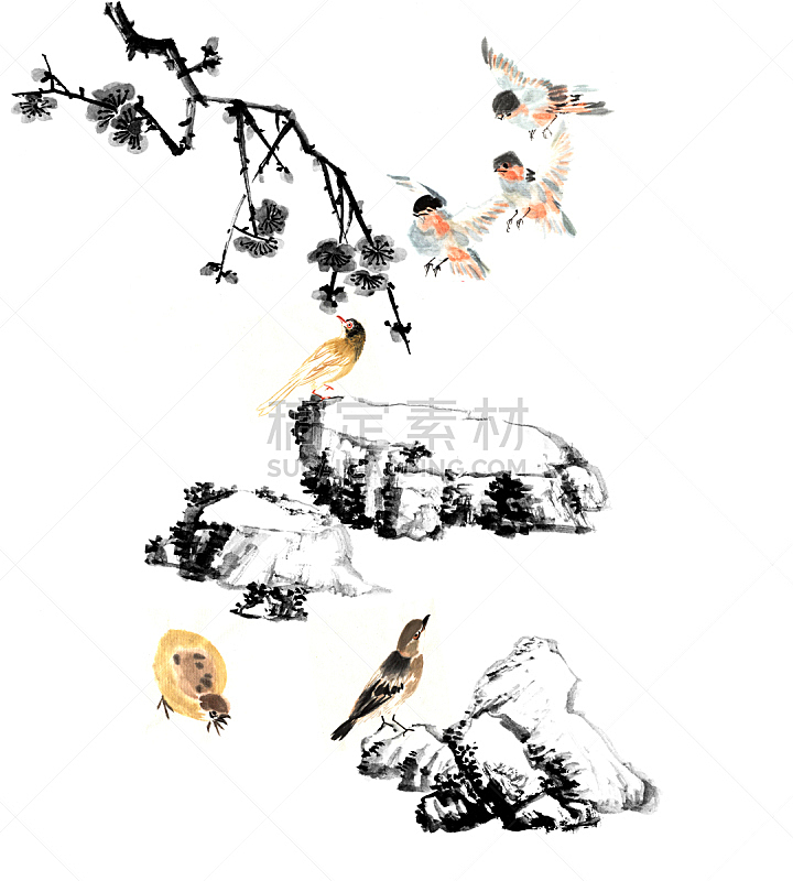 石头,花头,动物,李子,垂直画幅,绘画插图,鸟类,古老的,墨水