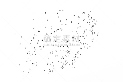 天空,一群鸟,单色调,代表,背景分离,自由,风,野生动物,环境,天气
