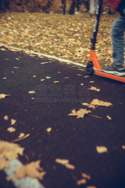 手推脚踏车,男孩,沥青,运动,玩具,公园,仅儿童,草,儿童,童年