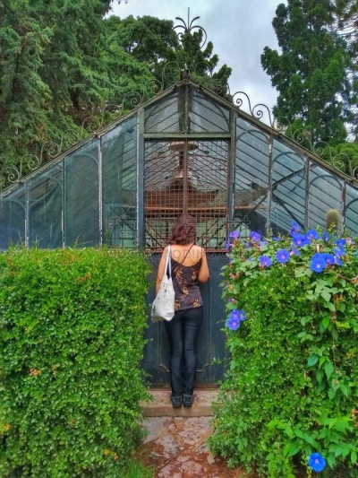 阿根廷,植物园,巴勒莫,森林,布宜诺斯艾利斯,女孩,草坪,仅一个女孩,浪漫,公园