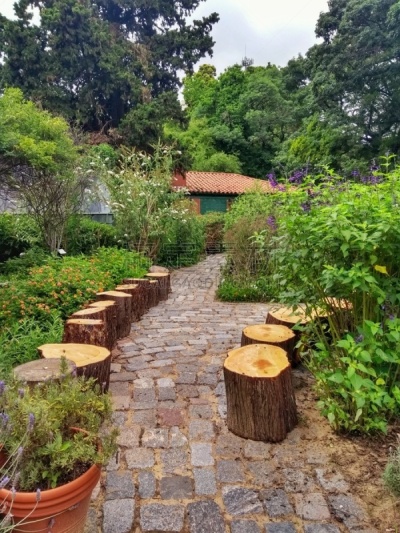 阿根廷,植物园,巴勒莫,布宜诺斯艾利斯,森林,草坪,浪漫,公园,草,林区