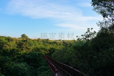 제주에 있는 '예래 생태 공원'의 풍경이다.