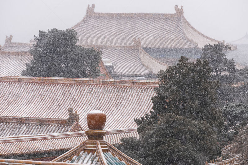 北京,故宫,人种,户外,黄色,蓝色,远古的,著名景点,国际著名景点,宏伟