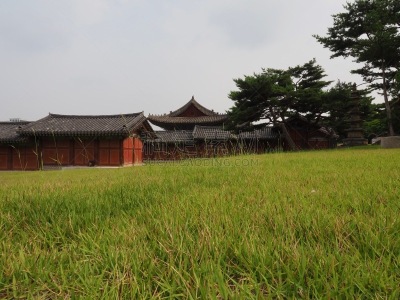 传统,昌庆宫,宫殿,建筑外部,华丽的,旅途,过去,云,著名景点,古典式