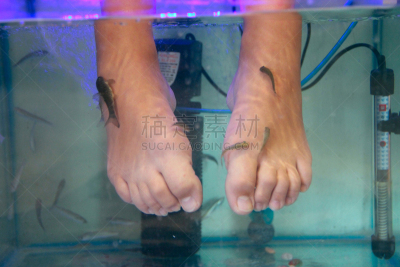 药,脚部按摩,鱼类,水族馆,特写,医疗流程,女孩,健康保健,人工饲养动物,腿