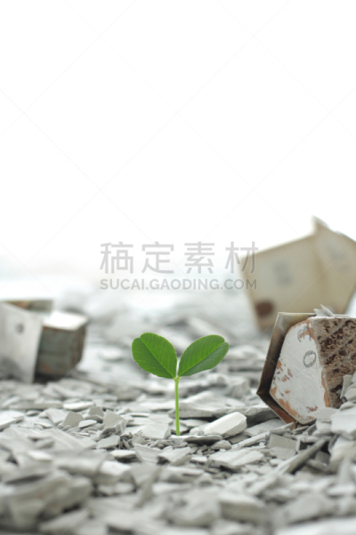 沙子,泥土,活力,环境,仅一朵花,坏掉的,肮脏的,流水,花的组成部分