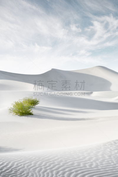 沙丘,气候,热,空的,环境,利比亚,埃及,阴影,沙漠,背景