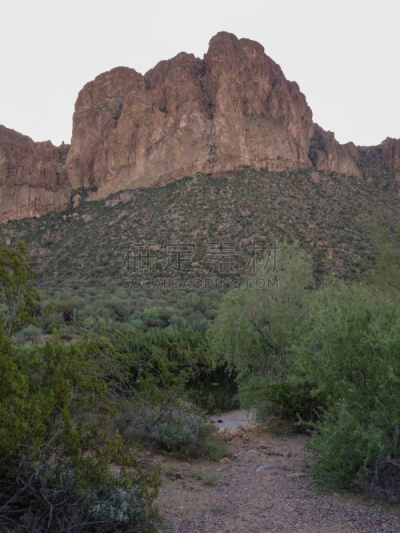 宏伟,Tonto National Forest,悬崖,云,仙人掌,自然美,沙漠,植物,摄影