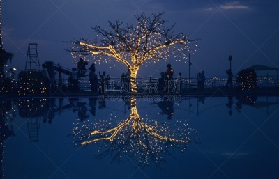 婚礼,印度,校园,孟买,夜晚,黄色,暗色,光亮,电源,图像