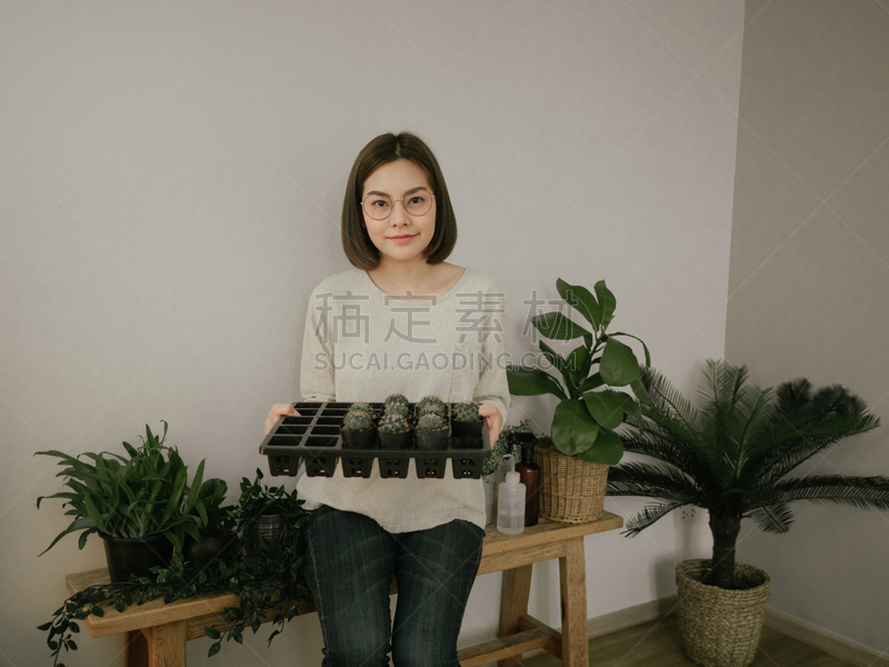 仙人掌,园艺,女性,家庭生活,锅,看,农业,仅日本人,喷雾瓶,泰国