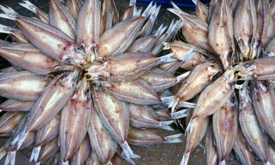 鱼干,海产,越南,食品,商品,宁顺,餐具,风,水平画幅,形状