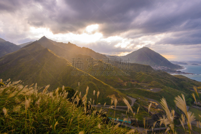 金瓜石,九份,芒草,铜矿,金矿,东北方向,古老的,山谷,烟,草