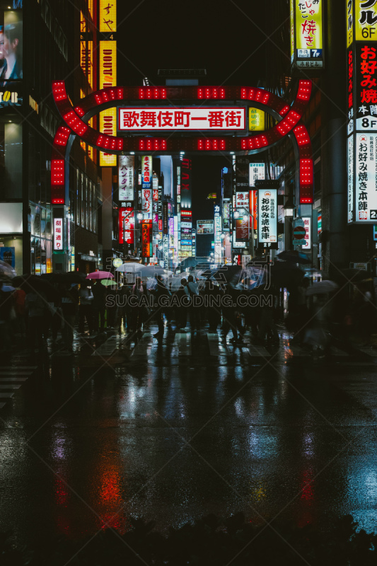 伞,通勤者,红灯区,新宿区,雨,东京,群众,拿着,夜晚,步行