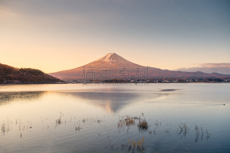 富士山,早晨,湖,秋天,日本,季节,河口湖,富士河口湖,山梨县,鸡爪枫