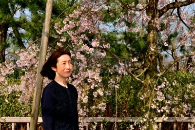 京都府,日本人,鸭川,女人,樱桃树,河岸,半身像,水平画幅,樱花,河堤