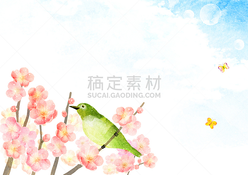 绘画插图,水彩画,昆虫,季节,水彩画颜料,背景,天空,春天,鸟类,花