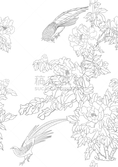 牡丹,枝,雉,传统,壁纸,动物,鸟类,韩国,花