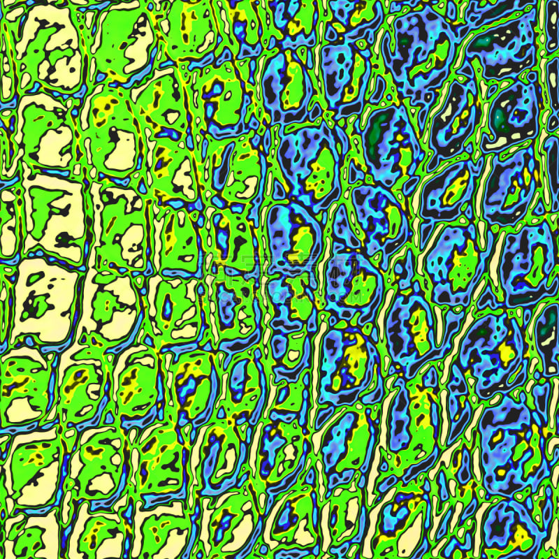 纹理效果,恐龙,多色的,式样,蛇,鳄鱼皮,爬行纲,短吻鳄属,绿色,蓝色